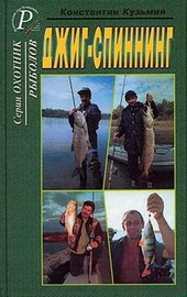 Обложка книги https://1000knig.com/5332-dzhig-spinning.html