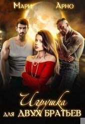 Обложка книги https://1000knig.com/5471-igrushka-dlja-dvuh-bratev.html