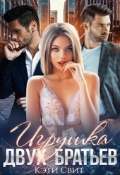 Обложка книги https://1000knig.com/5473-igrushka-dvuh-bratev.html