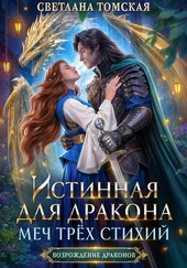 Обложка книги https://1000knig.com/4322-istinnaja-dlja-drakona-mech-treh-stihij.html