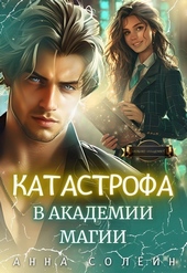 Обложка книги https://1000knig.com/5549-katastrofa-v-akademii-magii-si.html