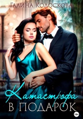 Обложка книги https://1000knig.com/5552-katastrofa-v-podarok.html