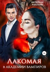 Обложка книги https://1000knig.com/5649-lakomaja-v-akademii-vampirov.html