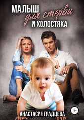 Обложка книги https://1000knig.com/5703-malysh-dlja-stervy-i-holostjaka.html