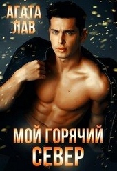 Обложка книги https://1000knig.com/4501-moj-gorjachij-sever.html