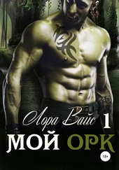 Обложка книги https://1000knig.com/5755-moj-ork.html
