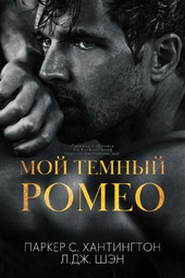 Обложка книги https://1000knig.com/5757-moj-temnyj-romeo.html
