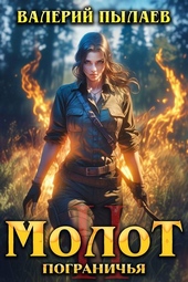 Обложка книги https://1000knig.com/5774-molot-pogranichja-kniga-ii.html