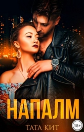 Обложка книги https://1000knig.com/5812-napalm.html