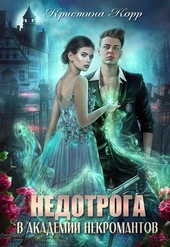 Обложка книги https://1000knig.com/5851-nedotroga-v-akademii-nekromantov.html