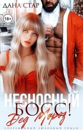 Обложка книги https://1000knig.com/5872-nesnosnyj-boss-ded-moroz-si.html