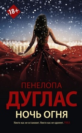 Обложка книги https://1000knig.com/5919-noch-ognja.html