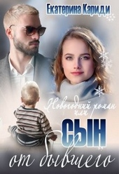 Обложка книги https://1000knig.com/5924-novogodnij-roman-ili-syn-ot-byvshego.html