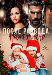 Обложка книги https://1000knig.com/4712-posle-razvoda-novaja-zhizn-si.html