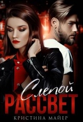 Обложка книги https://1000knig.com/4852-slepoj-rassvet.html