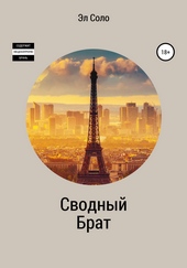 Обложка книги https://1000knig.com/4897-svodnyj-brat.html