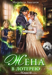 Обложка книги https://1000knig.com/4046-zhena-v-lotereju.html