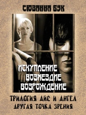 Обложка книги https://1000knig.com/6802-ajs-i-angel.html