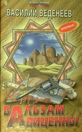 Обложка книги https://1000knig.com/6882-balzam-avicenny.html