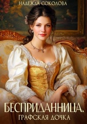 Обложка книги https://1000knig.com/6917-bespridannica-grafskaja-dochka.html