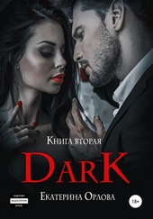 Обложка книги https://1000knig.com/7060-dark.html