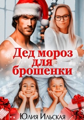 Обложка книги https://1000knig.com/7071-ded-moroz-dlja-broshenki.html