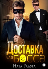 Обложка книги https://1000knig.com/7179-dostavka-dlja-bossa.html