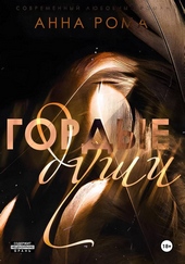 Обложка книги https://1000knig.com/7337-gordye-dushi.html