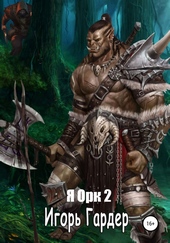Обложка книги https://1000knig.com/7415-ja-ork-2.html