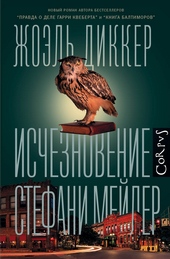Обложка книги https://1000knig.com/7538-ischeznovenie-stefani-mejler.html