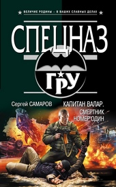 Обложка книги https://1000knig.com/7653-kapitan-valar-smertnik-nomer-odin.html