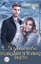 Обложка книги https://1000knig.com/7820-krasivo-razvodjatsja-tolko-mosty.html