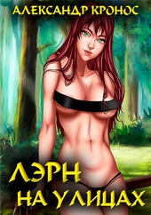 Обложка книги https://1000knig.com/7887-ljern-na-ulicah-si.html