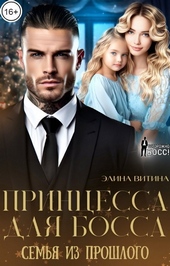 Обложка книги https://1000knig.com/6166-princessa-dlja-bossa-semja-iz-proshlogo-si.html