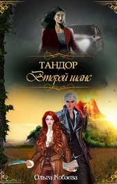 Обложка книги https://1000knig.com/6447-tandor-vtoroj-shans-si.html