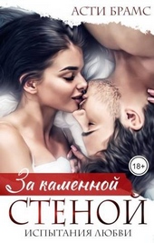 Обложка книги https://1000knig.com/6673-za-kamennoj-stenoj-ispytanija-ljubvi.html