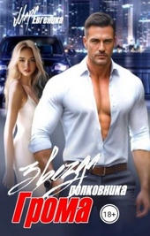 Обложка книги https://1000knig.com/6752-zvezda-polkovnika-groma.html