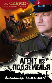 Обложка книги https://1000knig.com/9959-agent-iz-podzemelja.html