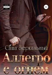 Обложка книги https://1000knig.com/10034-allegro-s-ognem.html