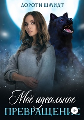 Обложка книги https://1000knig.com/8084-moe-idealnoe-prevraschenie.html