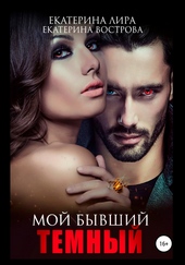 Обложка книги https://1000knig.com/8090-moj-byvshij-temnyj.html