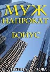Обложка книги https://1000knig.com/8149-muzh-naprokat-bonus.html