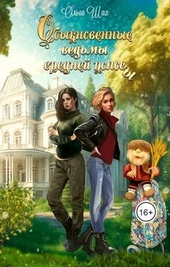 Обложка книги https://1000knig.com/8448-obyknovennye-vedmy-srednej-polosy.html