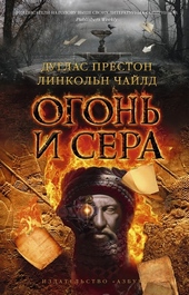 Обложка книги https://1000knig.com/8477-ogon-i-sera.html