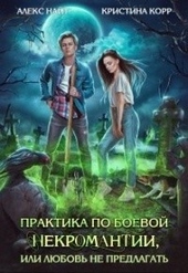 Обложка книги https://1000knig.com/8767-praktika-po-boevoj-nekromantii-ili-ljubov-ne-predlagat.html