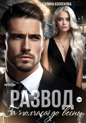 Обложка книги https://1000knig.com/8932-razvod-za-polchasa-do-vesny.html