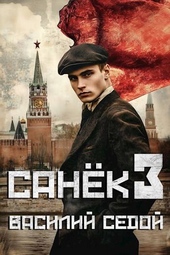Обложка книги https://1000knig.com/9002-sanek-3.html