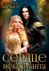 Обложка книги https://1000knig.com/9056-serdce-nekromanta.html