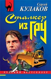 Обложка книги https://1000knig.com/9222-stalker-iz-gru.html