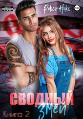 Обложка книги https://1000knig.com/9285-svodnyj-zmej-kniga-2.html